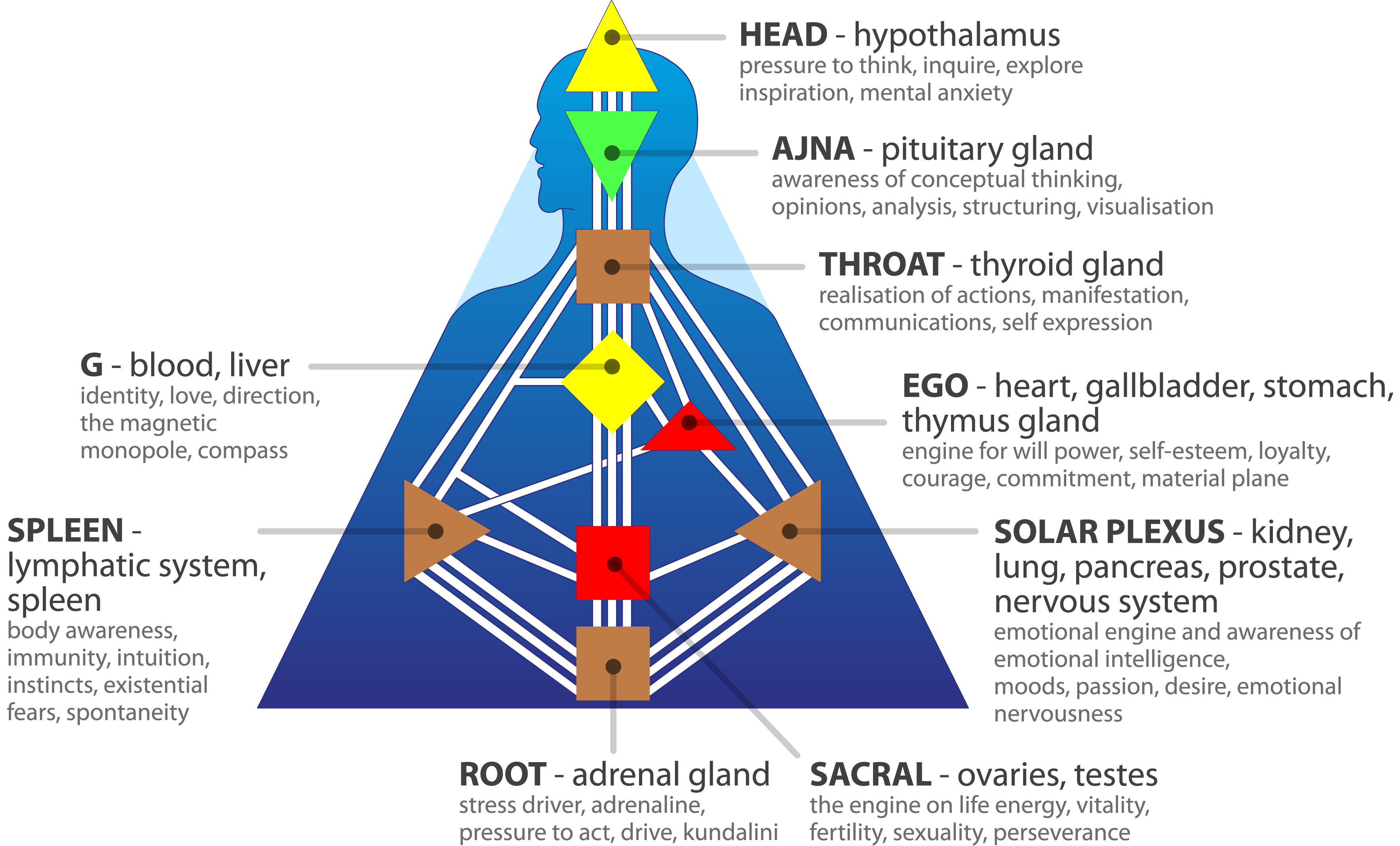How is your individual consciousness programmed? | Humandesign.one
